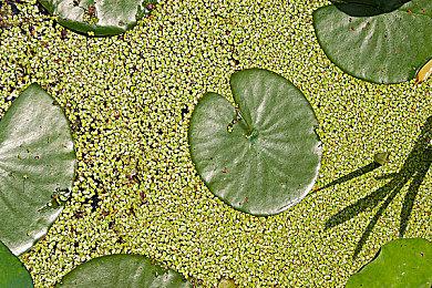 《无人深空》大型更新上线 追加大量内容优化性能