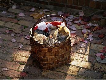 《战地6》官网间接证实将于10月10日发售